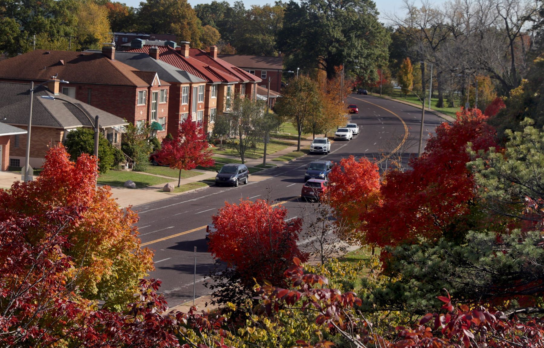 Fall color scene on Jamieson